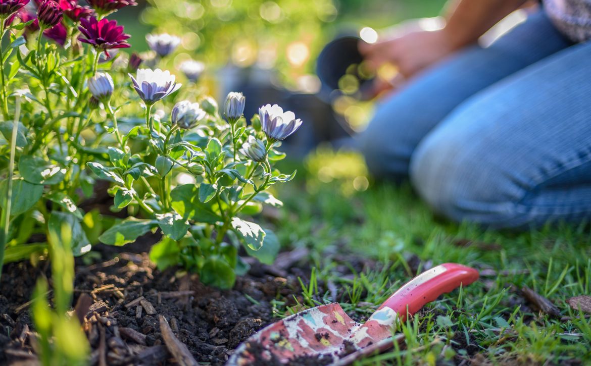 Woman,Gardening,On,A,Sunny,Spring,Day,With,Garden,Spade