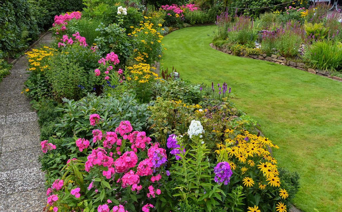 Gorgeous,Garden,In,August,With,Flowers,And,Plants