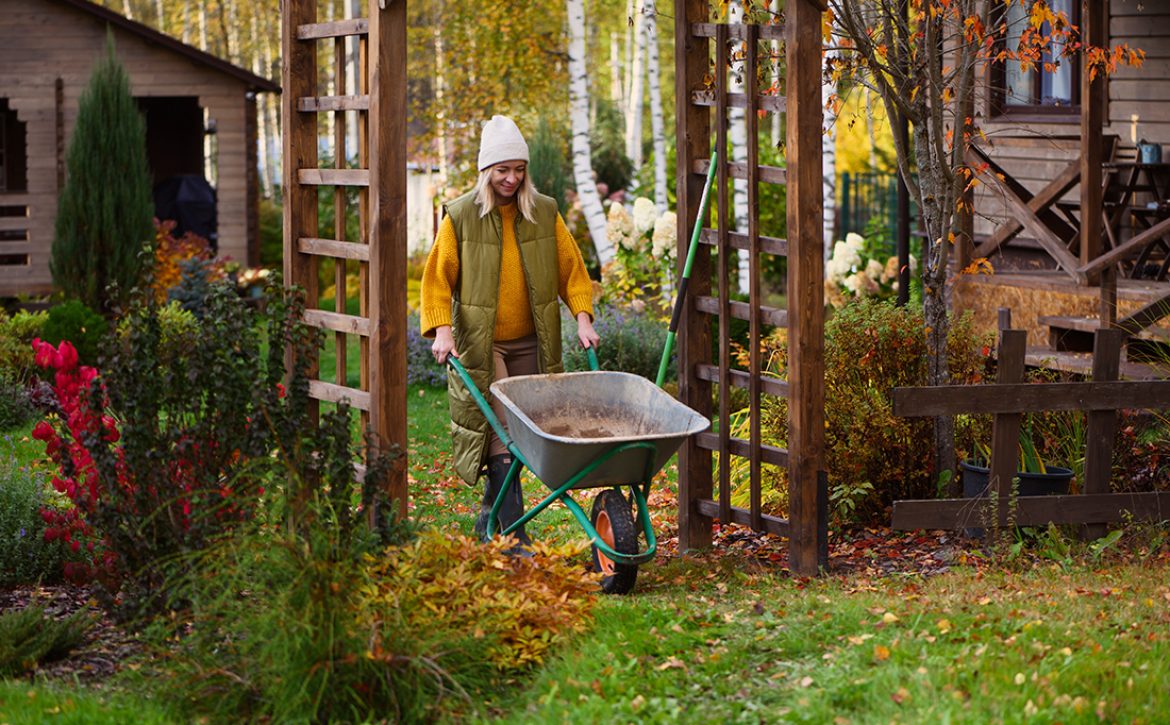 Seasonal,Autumn,Garden,Work.,Woman,Gardener,At,Wooden,Pergola,With