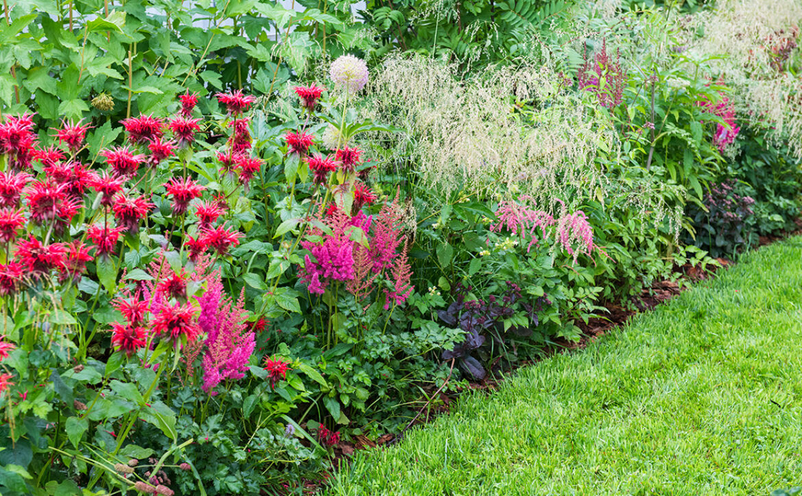 The,Perennial,Flower,Garden,Is,In,The,Garden,Against,The