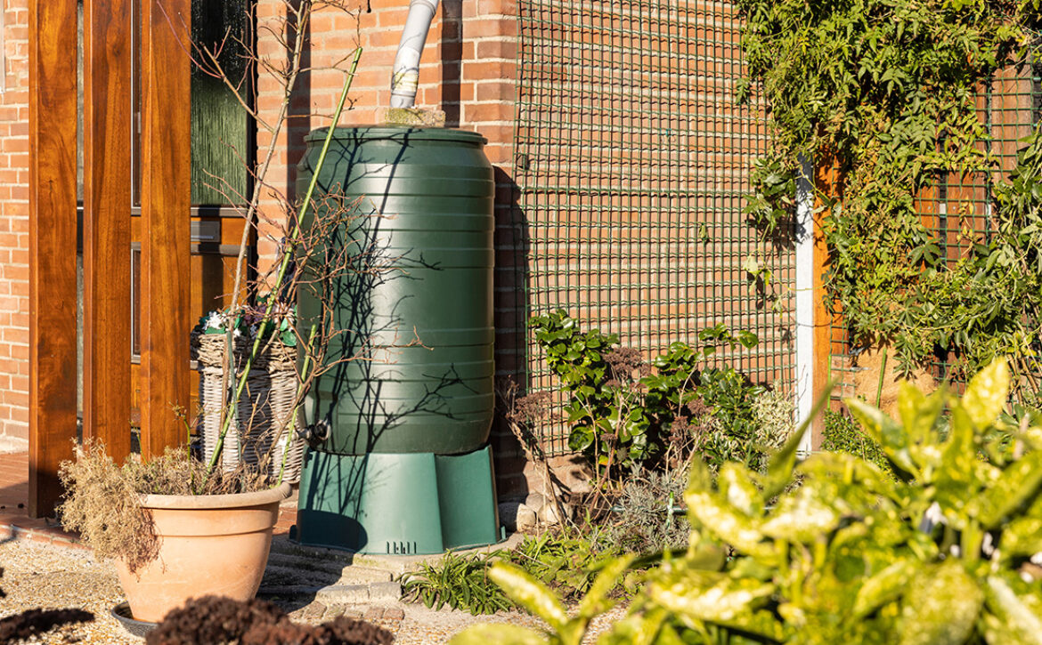 A,Green,Rain,Barrel,To,Collect,Rainwater,And,Reusing,It