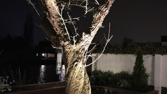 Tuin-aan-de-Vecht_3