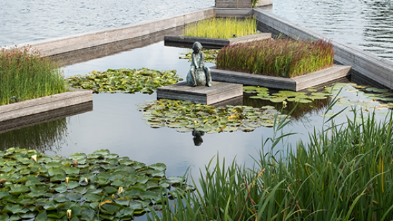 watertuin_portfolio_5