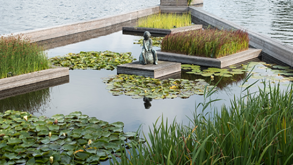 watertuin_portfolio_5